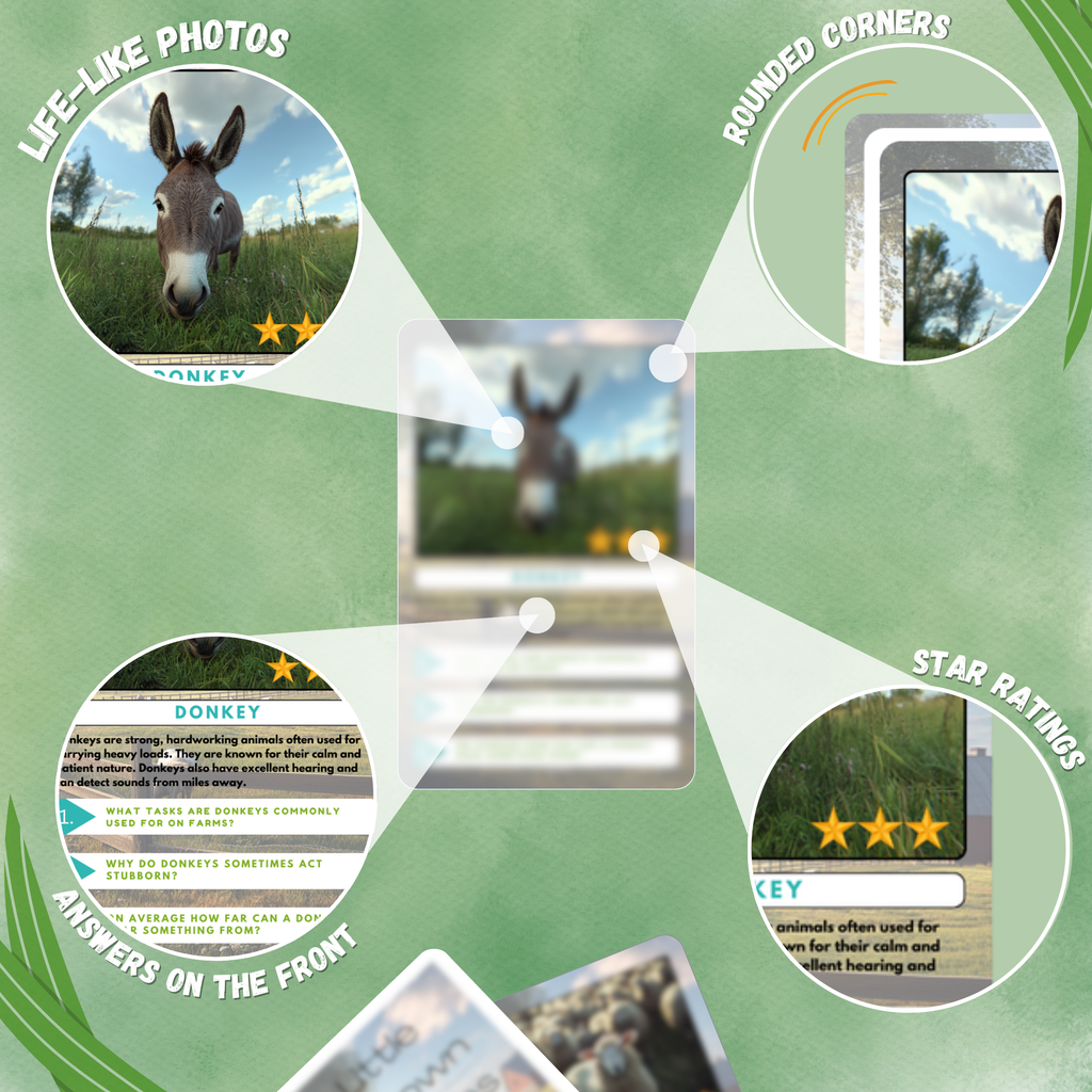 Educational material about donkeys with images and text on a green background