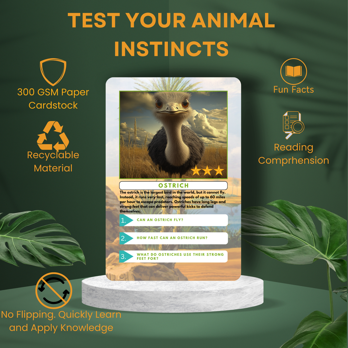 Educational card about ostriches with green background and plant elements